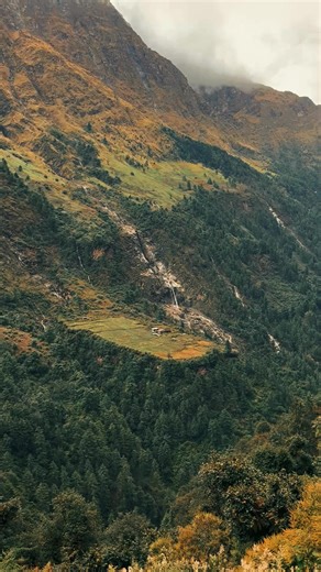 Finding Freedom in Nature: A Dream Life in the Mountains