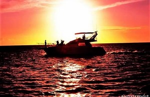 11K views · 392 reactions | 休日にロマンチック＆楽しい夜を過ごすなら・・・...