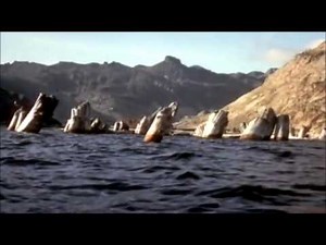 Flood Geology (by AiG)