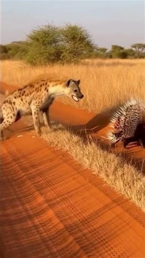 He Laughed... Then He SCREAMED! 😱💥