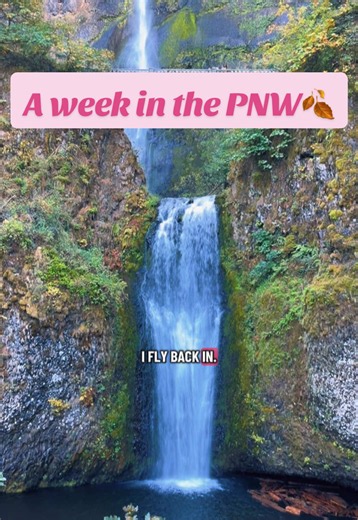 Our 1 week itinerary exploring Portland, Oregon & Vancouver, Washington 🌲🍁🍂✨ #pnwlife #waterfalls #twilight #portlandoregon #vancouverwashington