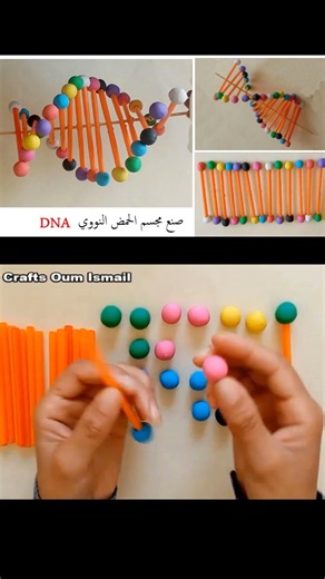 🔬 Making a DNA Model from Paper | Easy and Fun Step-by-Step Tutorial