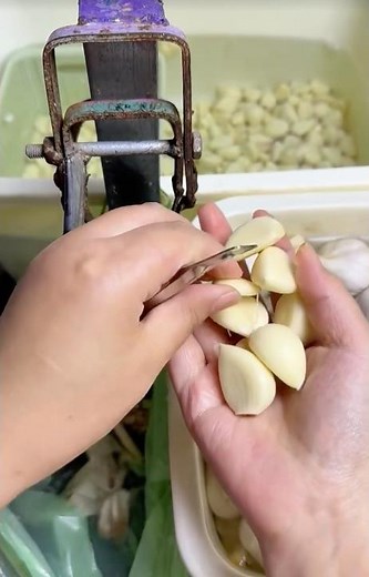 Peeling Garlic Effortlessly with a Simple Tool 🧄✨