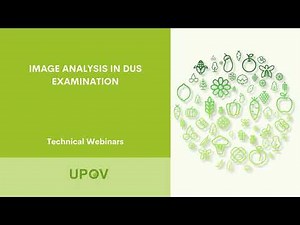 UPOV Technical Webinar: Image Analysis in DUS examination