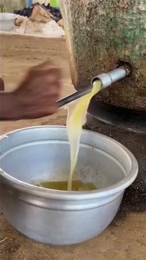 How Wood Pressed Groundnut Oil Is Made | Traditional Ghani Extraction Process | Niscolt