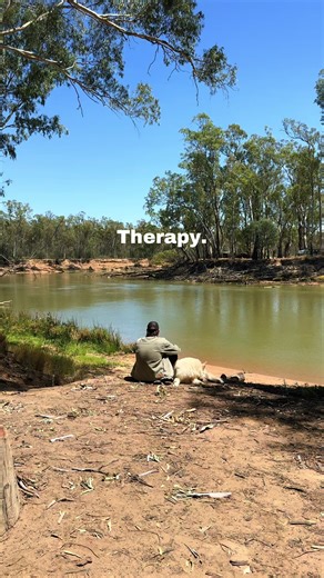 #camping #fyp #bushtracksaustralia #4x4 #therapytiktok