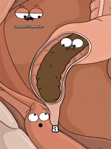 Mejora tu salud intestinal: el secreto de la postura para hacer caca