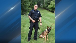Grand Rapids K-9 Dozer suffers severe spinal injury from hit-and-run crash