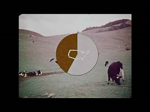 Soil Erosion & Vegetation Experiment: Environmental Science Research