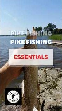 PIKE FISHING ESSENTIALS, To have with you on the canal or riverbank #youtubeshorts