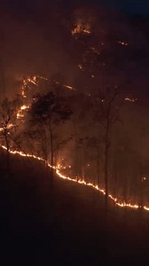Climate Change Wildfires Release Carbon Dioxide Stock Footage Video (100% Royalty-free) 3465686549 | Shutterstock