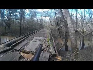 Hog Hunting with a Winchester model 1892