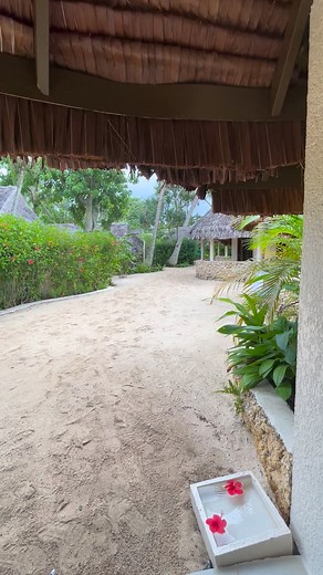 5.3K views | Beautiful island ️  #summervibes #travelvlog | Travelvlog | Facebook