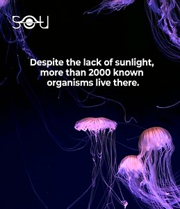 3.4M views · 8.1K reactions | The life on Earth depends on this ocean! | The Secrets Of The Universe | Facebook