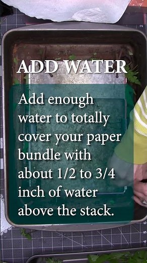 A Minute of Eco-Printing the SparkBird Way