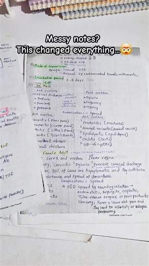 Transform Your Study Space with Digital Notebooks