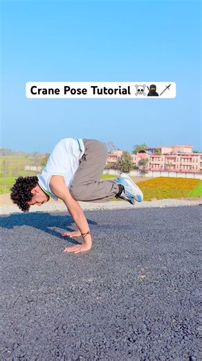 Crane Pose Tutorial ☠️🥷🗡️ #shorts #mafia #ashortaday