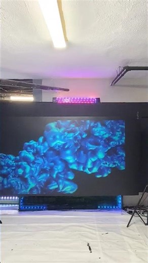 Our amazing high performance black projector screen paints zero washout problems and......?