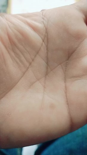 Exploring the Details of a Human Hand Palm