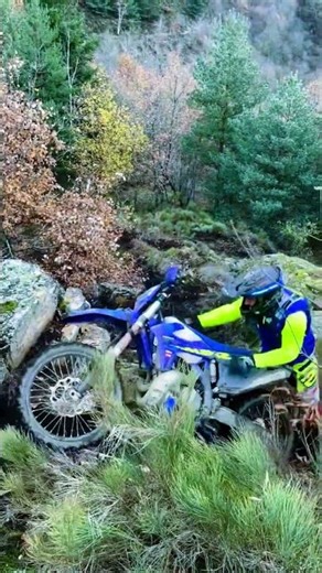 Everyone Thought It Was Over… Then He Conquered the Next Hill 🏍️😮#BikeShorts#HillClimb #mountainbike