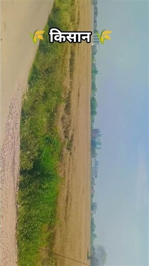 🌾 किसान 🌾🚜#tranding #youtubeshorts #farming #subscribe #viral#viralshorts #youtube#chnnel#viralvideo