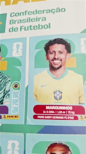 completou o Brasilll #brasil#migplay#albumdacopa