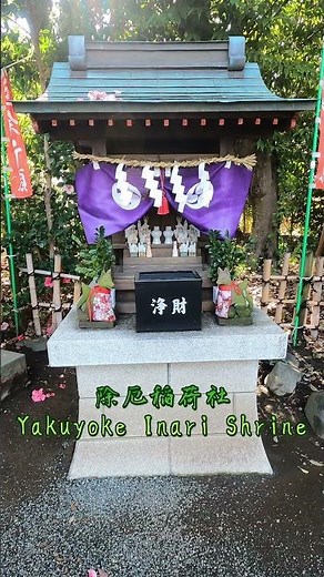 【前鳥神社（相模国四之宮）｜宇賀神が宿る神秘の古社⛩️🐍✨】Sakitori Shrine – A Mystical Shrine of Ugaijin ⛩️🐍✨
