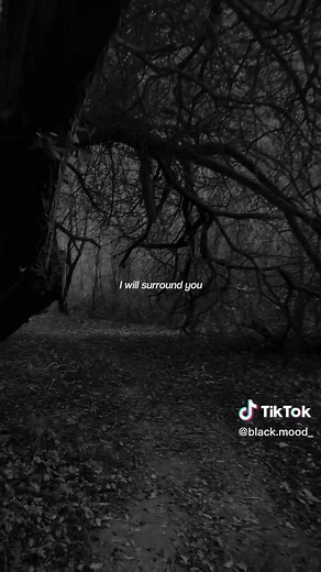 Goodbye to a World シ #lyrics #aestheticvibes #creepy