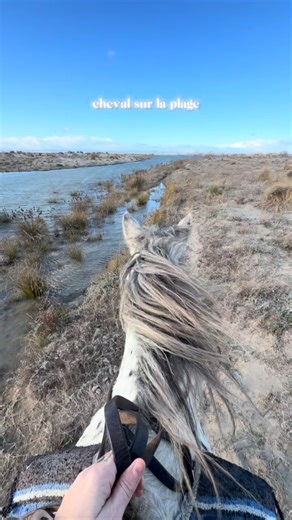 Alex Wild Soul ✨ Cowgirl & Coach des âmes sauvages | Camargue🐴⚓️ on Instagram: "Des balades à cheval pour tout niveaux ! 1h, 2h au pas, ou 2h sportive (je l’ai aussi faite et ça envoi 😂) Bref, vous trouverez forcément votre bonheur à @abrivado.ranch au Grau du Roi ! 🐴⚓️ #baladeacheval #grauduroi #abrivadoranch #espiguette"