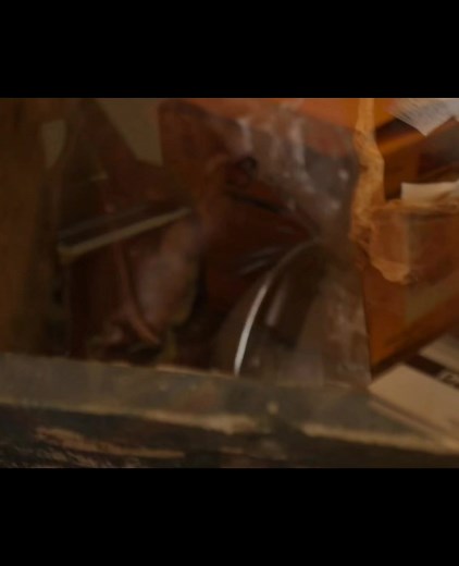 Exploring Slowdive's Joyful Shoegaze Moments