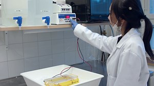 Assembly of Gold Nanorods into Chiral Plasmonic Metamolecules Using DNA Origami Templates