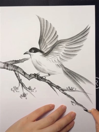 How To Draw With a Pencil: Tips and Techniques