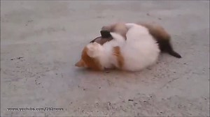 520K views · 8.1K reactions | AMIGOS PARA SIEMPRE | Crecimiento Personal con Daniel de Wishlet | Facebook