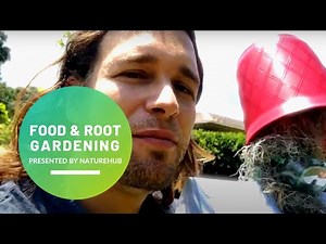 Do Scarecrows Really Work?