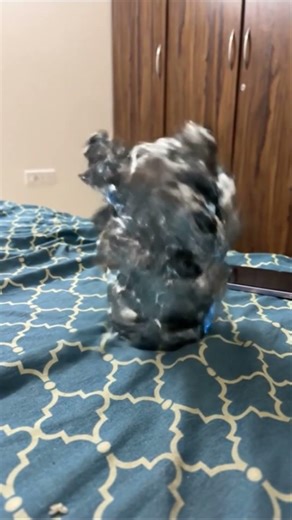 # magic effect..!￼