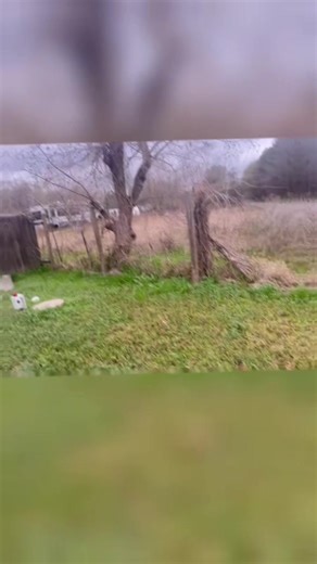 buckshot (@buckshot1243)’s videos with original sound - Soul Beam