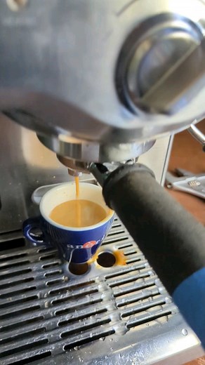 Breville Duo Temp Gasket Leak Fix | De Luca Espresso Repair Short