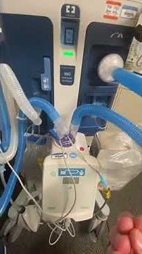 Proper Aerogen Placement on Ventilator