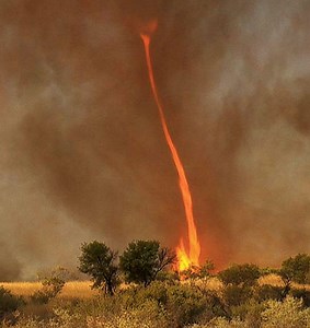 5 Extremely Rare Fire Tornadoes Captured on Video