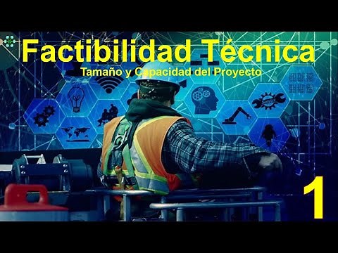 El tamaño y la Capacidad del Proyecto como elemento de una Factibilidad Técnica.
