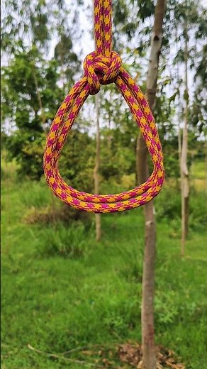 How to Tie a Bowline Knot (Easy Method)