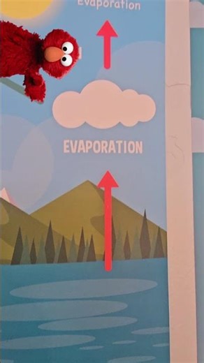 Elmo Learns The Water Cycle! 💧💦 #watercycle #elmo #learning #kidslearning