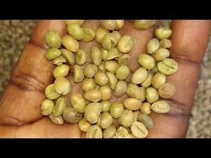 café Touba by feemu fii AK feneen la cuisine de sala