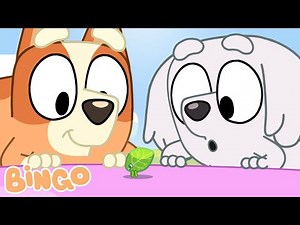 Time With Friends Is The Best! 🧡🎉 | 30 Minutes Of Friendship | Bingo - Official Channel