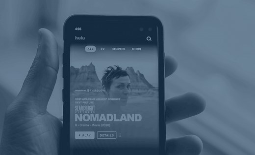 Hulu Statistics 2026 - TrueList