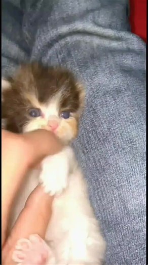 #shareeko_bach_k_hun_🔥 #like_share_comment_follow❓🔥 #unfreez_my_account #viewsproblem #thanksforwatching