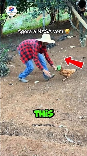 Easy Way to Catch a Chicken