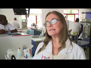 Journée mondiale du don de sang : pourquoi la Croix-Rouge cherche-t-elle des donneurs réguliers ?