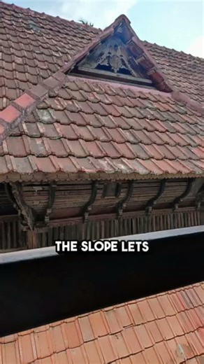 Kerala Vlog Part 2 | Sustainability | Nature Friendly| #keralaarchitecture #sustainableliving