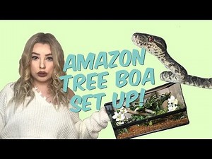 SETTING UP MY AMAZON TREE BOA ENCLOSURE! ( mite updates! )